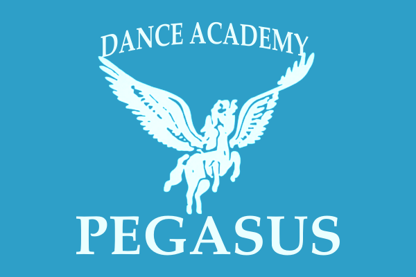 pegasus academy 600